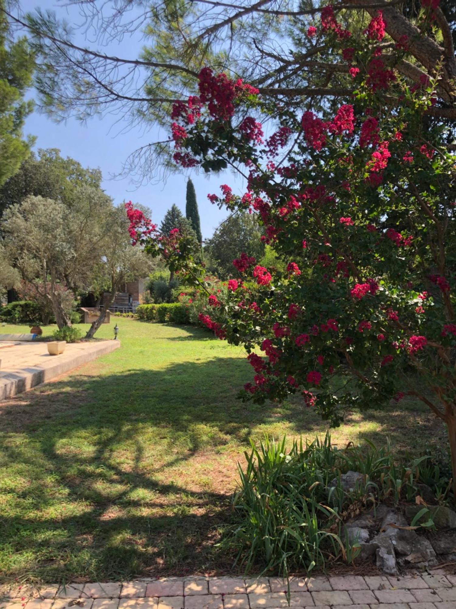 Gite En Provence Dans Grand Jardin Avec Piscine Partagee كورنيليون كونفو المظهر الخارجي الصورة